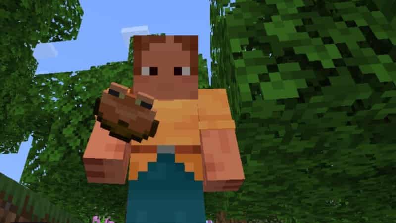 Скачать Мод Лягушачьи Миски для Minecraft PE