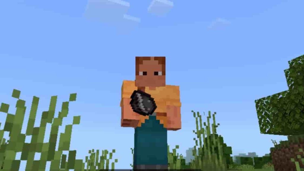 Скачать Мод на Семечки Подсолнуха и Еду для Minecraft PE