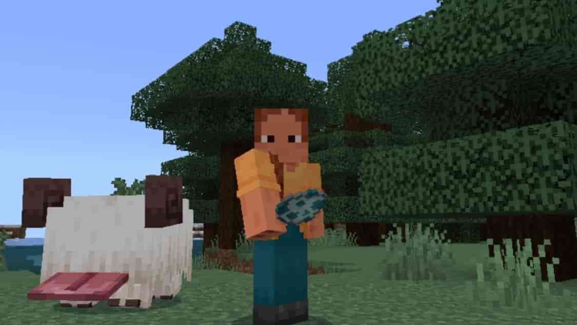 Скачать Мод на Снаффла-Сопуна для Minecraft PE